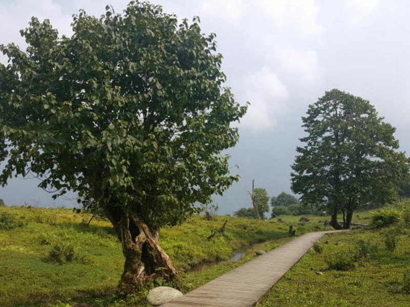 我國(guó)首個(gè)流域生態(tài)項(xiàng)目落座在峨邊