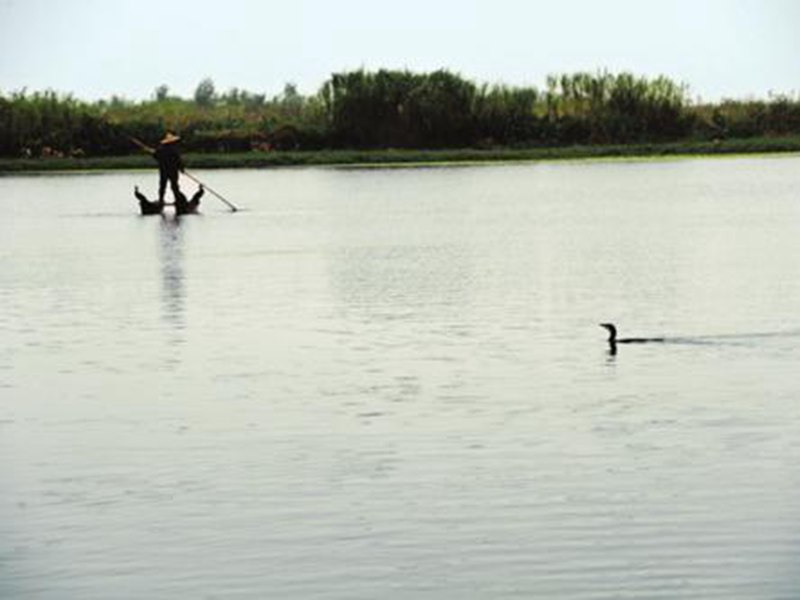梁子湖污染治理得到 一千三百八十萬(wàn)元中央獎(jiǎng)金補(bǔ)貼