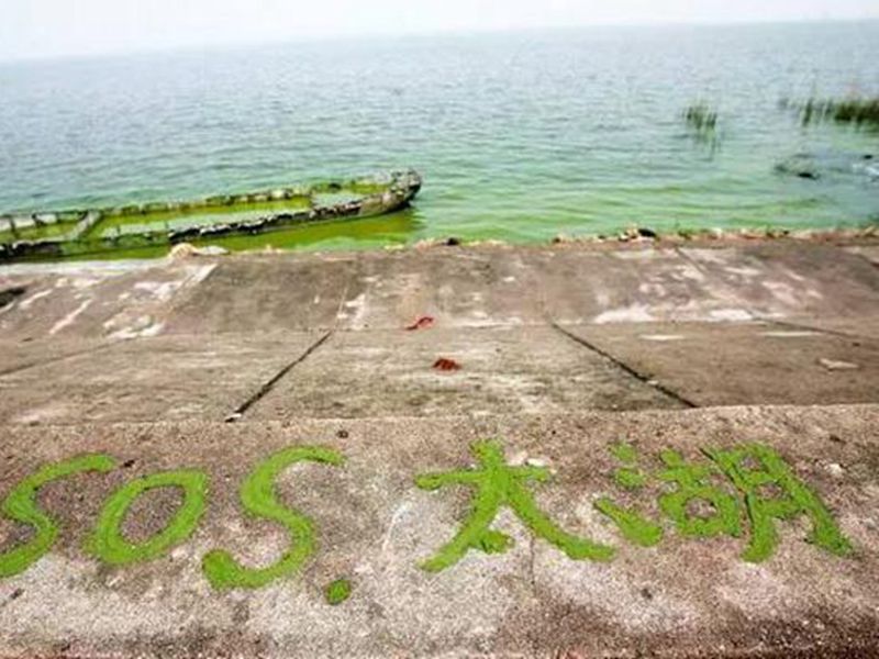 太湖變成為百億治污的中國(guó)式治污標(biāo)本
